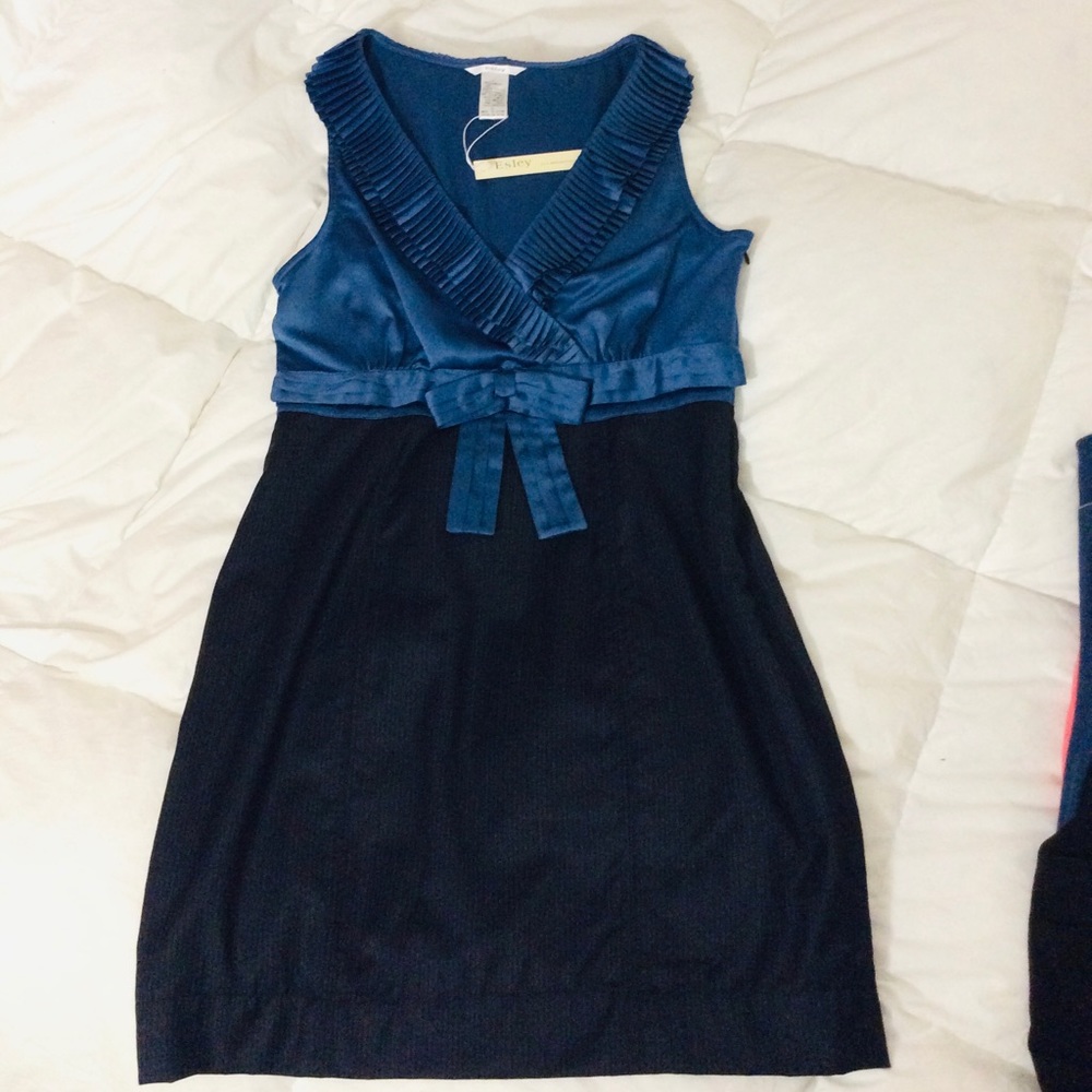 NWT Esley Blue Dress